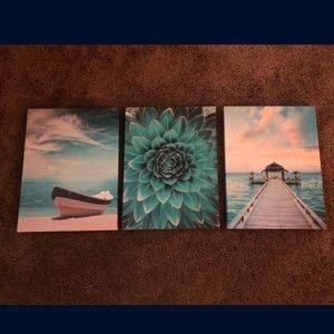 Scenic canvases